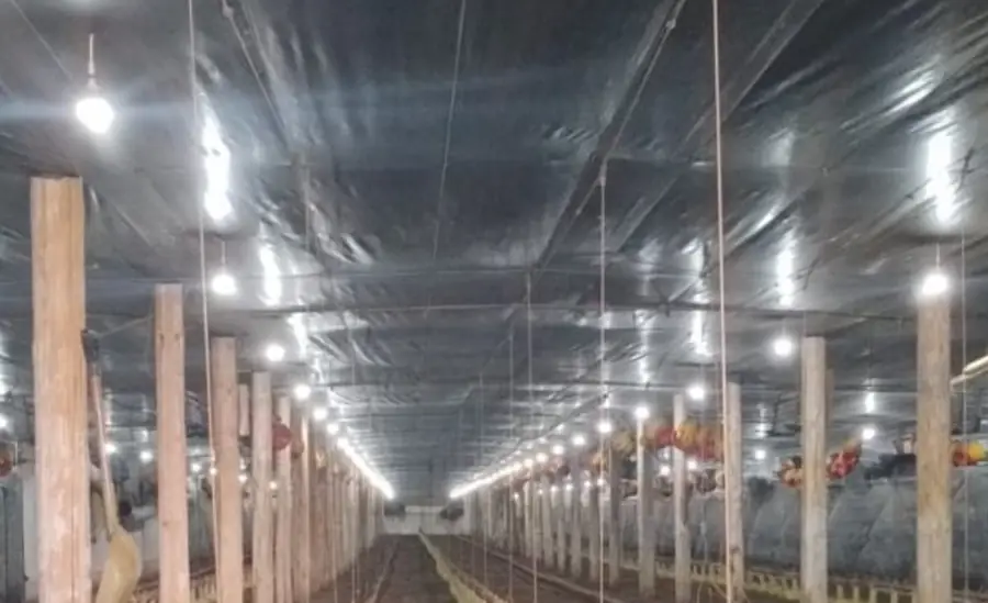 Galpão agroindustrial com iluminação instalada