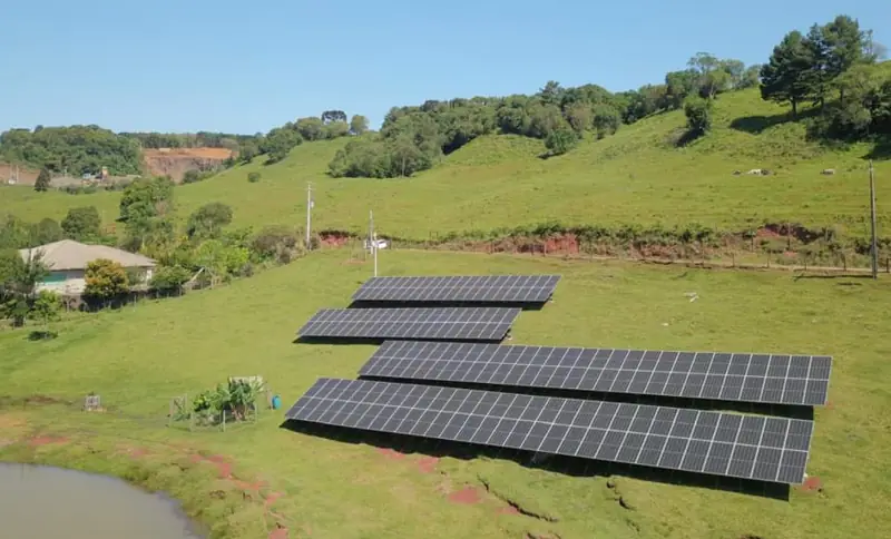 Painéis solares em terreno com pasto